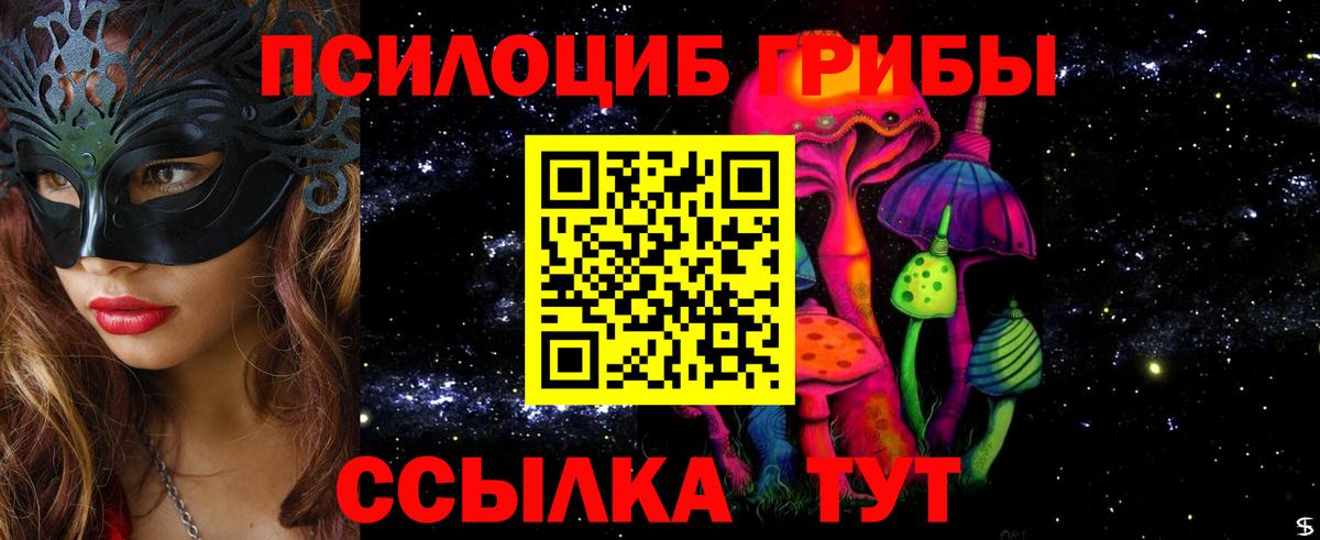 Мичуринск  Псилоцибиновые грибы ЛСД  Вход с VPN 